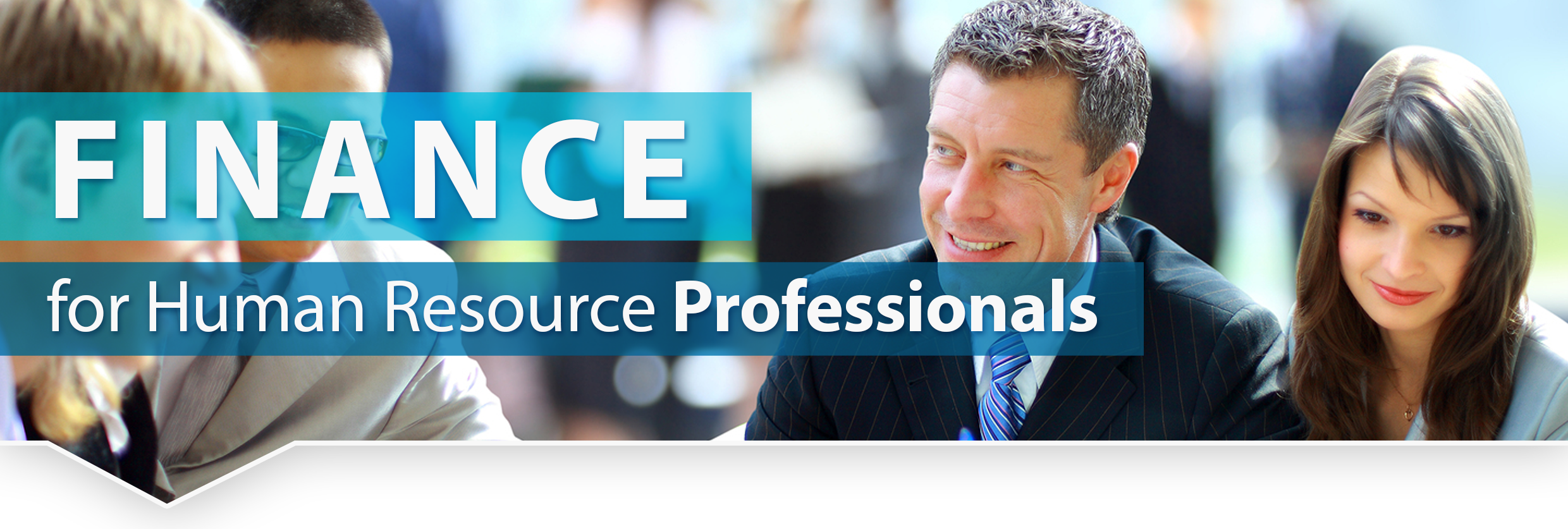 finance for human resource professionals)